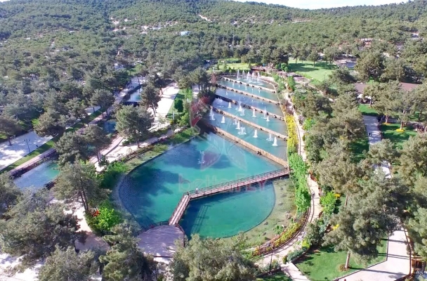 Burç Ormanları
