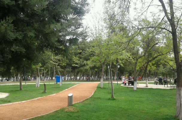 Çamlık