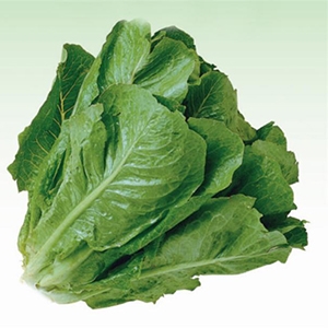 Marıl