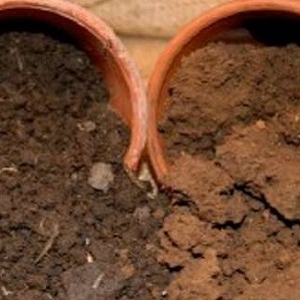 Torpak