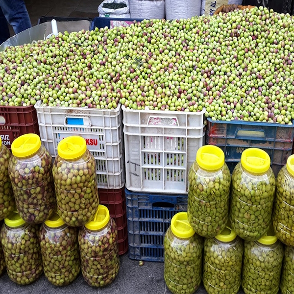 Yeşil Zeytin