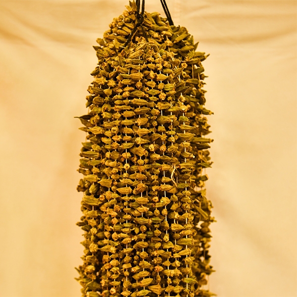 Kurutulmuş Bamya
