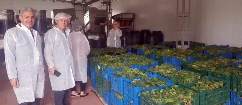 GAÜN ortaklığındaki Erasmus toplantısı Romanya Galati’de yapıldı