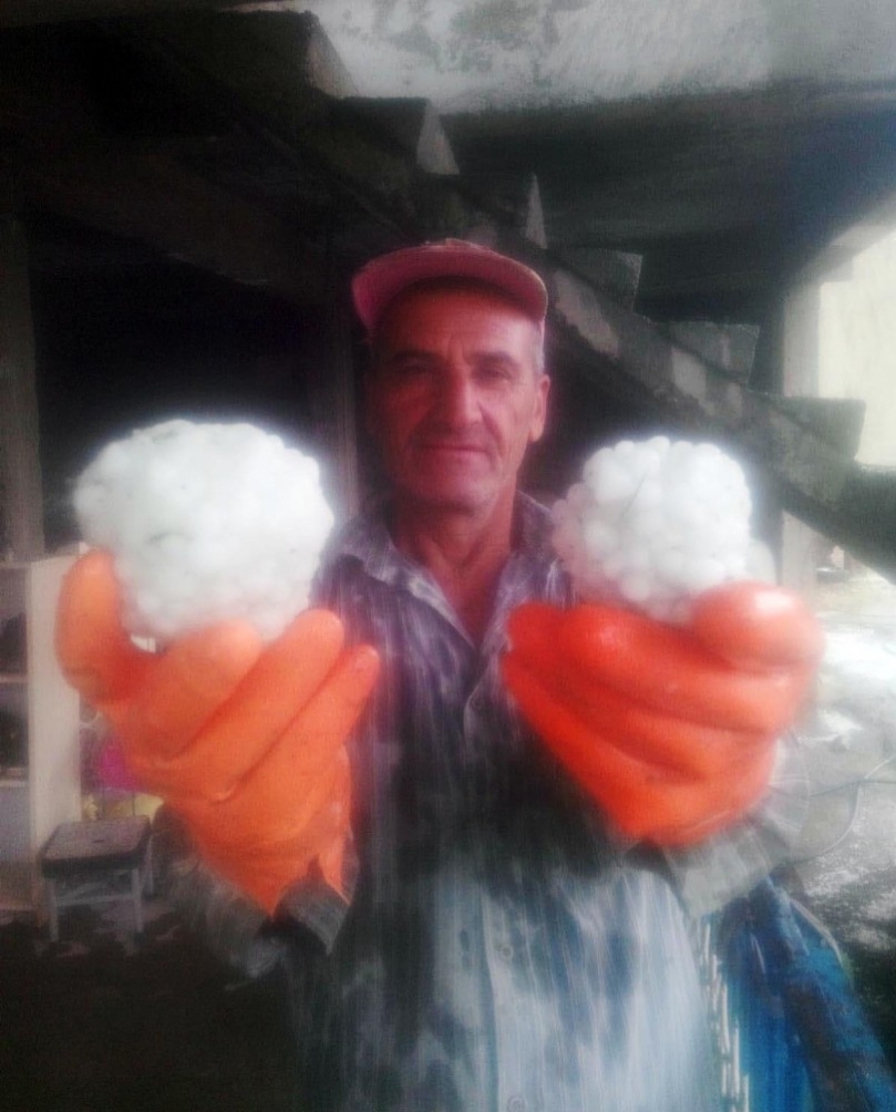 Fıstık bahçelerini ve ekinleri dolu vurdu
