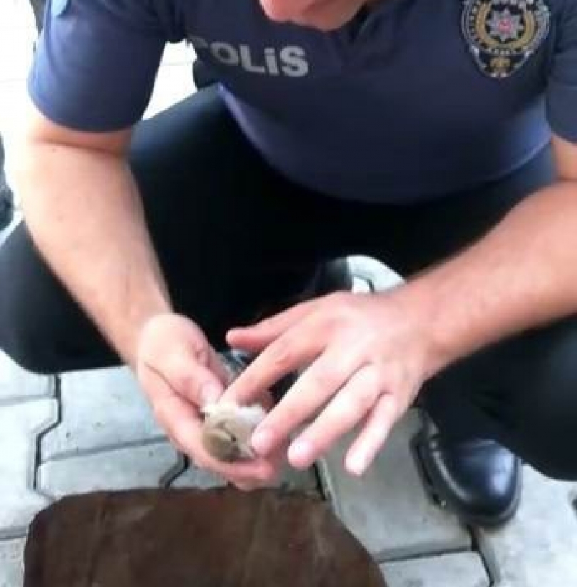 Polis memurundan kuşa kalp masajı