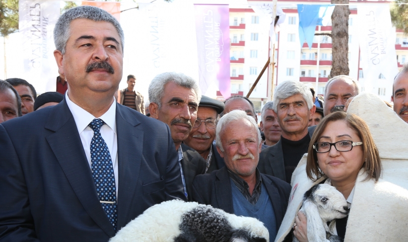 2 Milyon TL Değerinde Koyun Süt Yemi Dağıtılacak