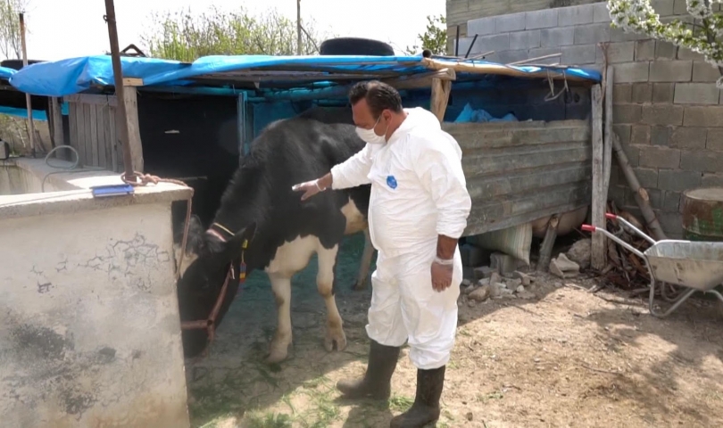 Şahinbey Belediyesinin hayvan yetiştiricilerine desteği sürüyor
