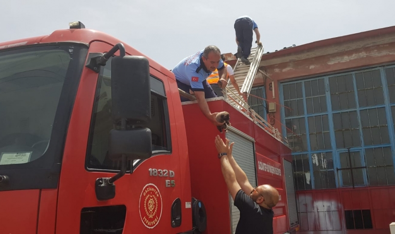 Yavru köpek için Cahide ve itfaiye el ele