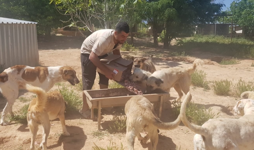 CAHİDE kısıtlamada sokak canlarını aç bırakmadı