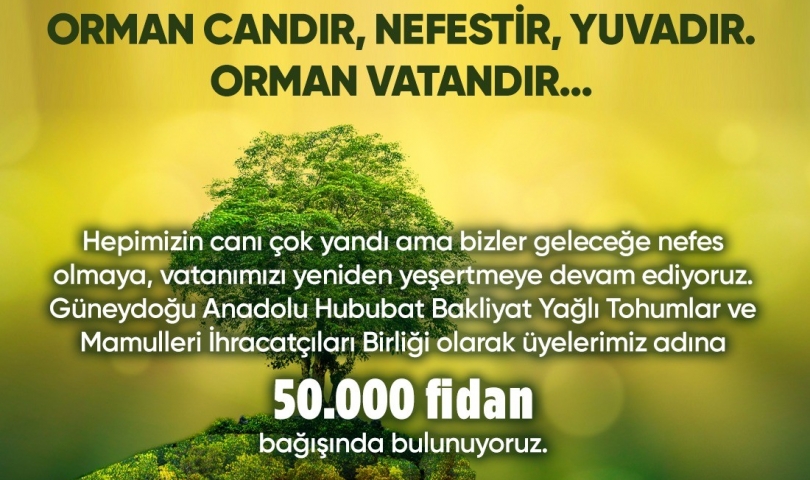 TİM’in Yeşil Seferberliğine Güneydoğulu Hububatçılardan 50 bin fidan