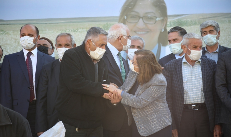 Büyükşehir, Araban çiftçisine 200 ton sertifikalı buğday tohumu dağıttı!
