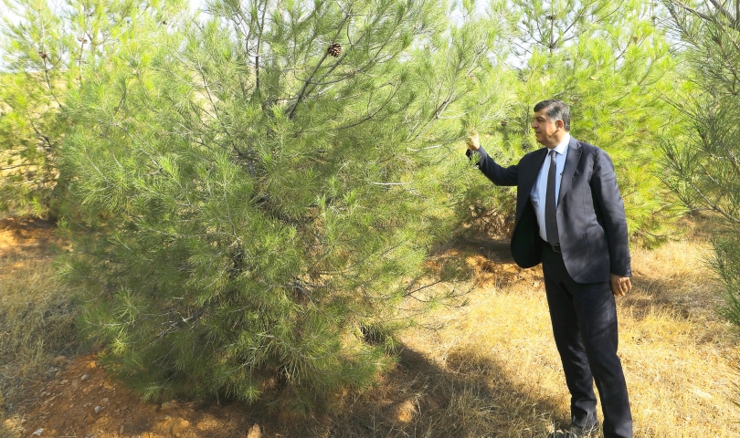Bakarsan bağ, bakmazsan dağ olur