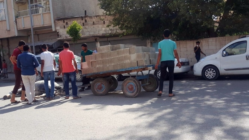 Sıcağa ve yüke dayanamayan at yere yığıldı