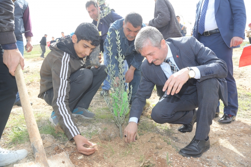 Başkan Tahmazoğlu, Öğrencilerle Fidan Dikti