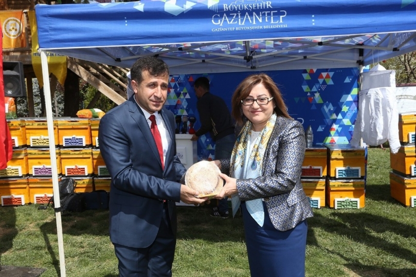 Çiftçilere arı kovanı ve dal öğütme makinesi