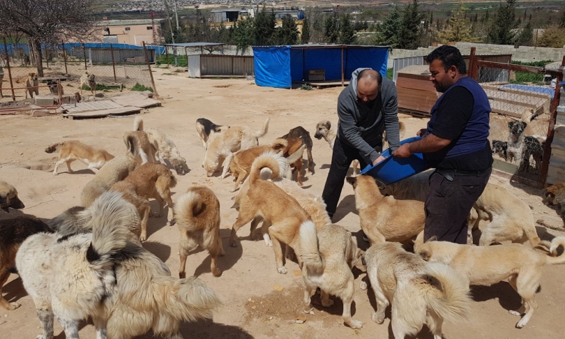 “Hayvanlara karşı acımasız olan iyi bir insan olamaz”