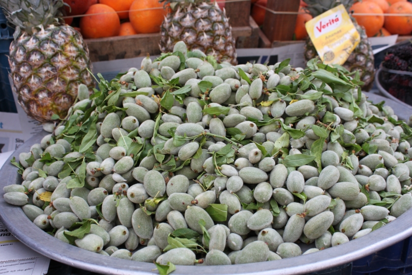 Çağlanın Faydaları