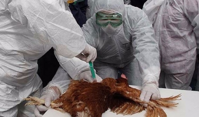 Gaziantep’te sevindiren haber