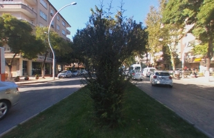 Maraşal Fevzi Çakmak Bulvarı