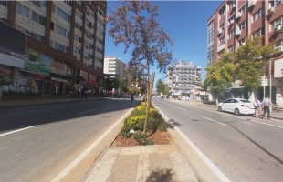 Kıbrıs Caddesi