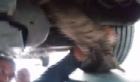 Aracın motoruna sıkışan kediyi tamirci ustası kurtardı