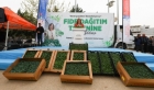 Büyükşehirden tarımsal üretime 2 milyon fide desteği